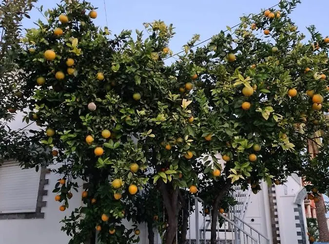 Casa Coqueta Almarda