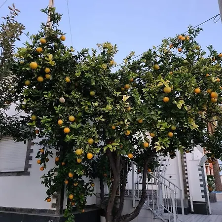 Casa Coqueta Almardá