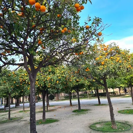Casa Coqueta Almarda