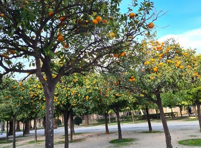 Casa Coqueta Almarda